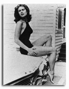 (SS229294) Elizabeth Montgomery Movie Photo (SS229294) Elizabeth Montgomery Movie Photo