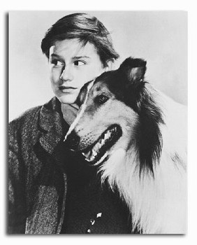 (SS2199990) Lassie Television Photo (SS2199990) Lassie Television Photo
