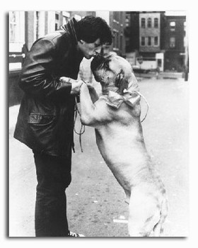 (SS2227394) Sylvester Stallone Movie Photo (SS2227394) Sylvester Stallone Movie Photo