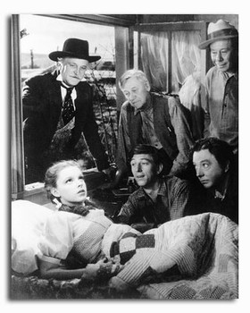 (SS2243176) Judy Garland The Wizard of Oz Movie Photo (SS2243176) Judy Garland The Wizard of Oz Movie Photo