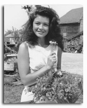 (SS2253186) Catherine Zeta-Jones The Darling Buds of May Movie Photo (SS2253186) Catherine Zeta-Jones The Darling Buds of May Movie Photo