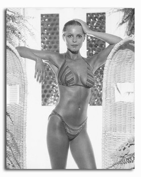 (SS2257216) Cheryl Ladd Movie Photo (SS2257216) Cheryl Ladd Movie Photo