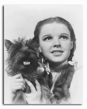 (SS2295904) Judy Garland The Wizard of Oz Movie Photo (SS2295904) Judy Garland The Wizard of Oz Movie Photo