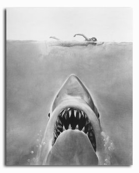 (SS2313337) Jaws Movie Photo (SS2313337) Jaws Movie Photo