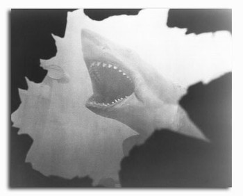 (SS2313389) Jaws Movie Photo (SS2313389) Jaws Movie Photo