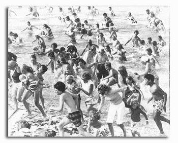 (SS2313415) Jaws Movie Photo (SS2313415) Jaws Movie Photo