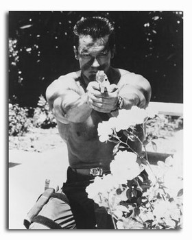 (SS2323438) Arnold Schwarzenegger Movie Photo (SS2323438) Arnold Schwarzenegger Movie Photo