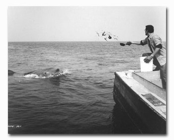 (SS2419053) Roy Scheider Jaws Movie Photo (SS2419053) Roy Scheider Jaws Movie Photo