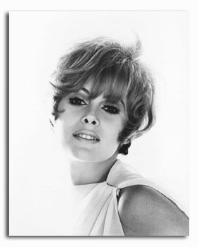 (SS2423096) Jill St. John Movie Photo (SS2423096) Jill St. John Movie Photo