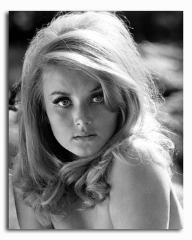 (SS2425436) Barbara Bouchet Movie Photo (SS2425436) Barbara Bouchet Movie Photo