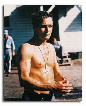 (SS2762682) Paul Newman Cool Hand Luke Movie Photo (SS2762682) Paul Newman Cool Hand Luke Movie Photo