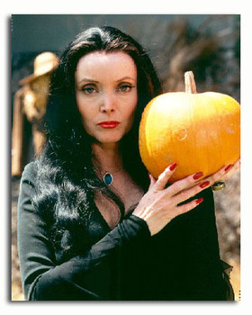 (SS3324334) Carolyn Jones The Addams Family Movie Photo (SS3324334) Carolyn Jones The Addams Family Movie Photo