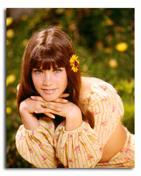(SS3456557) Barbi Benton Movie Photo (SS3456557) Barbi Benton Movie Photo