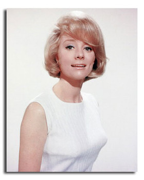 (SS3602404) Inger Stevens Movie Photo (SS3602404) Inger Stevens Movie Photo