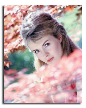 (SS3613259) Jean Seberg Movie Photo (SS3613259) Jean Seberg Movie Photo