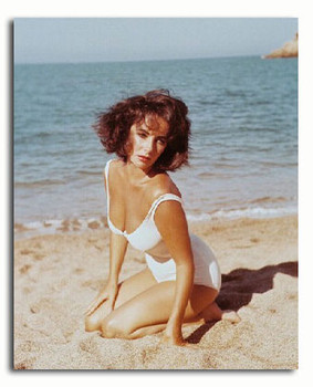 (SS3144531) Elizabeth Taylor Suddenly, Last Summer Movie Photo (SS3144531) Elizabeth Taylor Suddenly, Last Summer Movie Photo