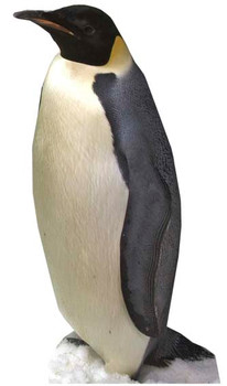 Penguin - Lifesize Cardboard Cutout / Standee Penguin - Lifesize Cardboard Cutout / Standee
