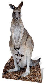 Kangaroo - Lifesize Cardboard Cutout / Standee Kangaroo - Lifesize Cardboard Cutout / Standee