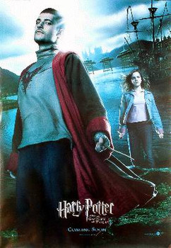 HARRY POTTER AND THE GOBLET OF FIRE (Viktor Krum Reprint) REPRINT POSTER HARRY POTTER AND THE GOBLET OF FIRE (Viktor Krum Reprint) REPRINT POSTER