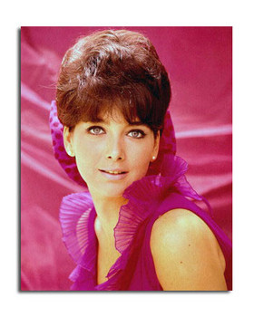 Suzanne Pleshette Movie Photo (SS3648671) Suzanne Pleshette Movie Photo (SS3648671)