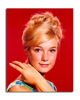 Yvette Mimieux Movie Photo (SS3648528) Yvette Mimieux Movie Photo (SS3648528)
