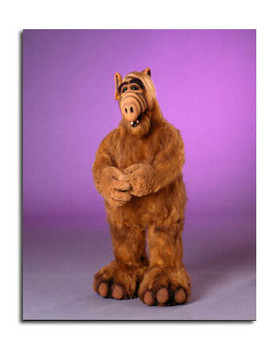 ALF Television Photo (SS3648827) ALF Television Photo (SS3648827)