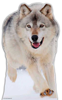 Wolf - Lifesize Cardboard Cutout / Standee Wolf - Lifesize Cardboard Cutout / Standee