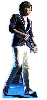 Harry Styles Cutout Harry Styles Cutout
