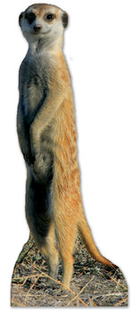 Meerkat Lifesize Cardboard Cutout / Standee Meerkat Lifesize Cardboard Cutout / Standee