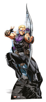 Hawkeye Lifesize Cardboard Cutout Hawkeye Lifesize Cardboard Cutout