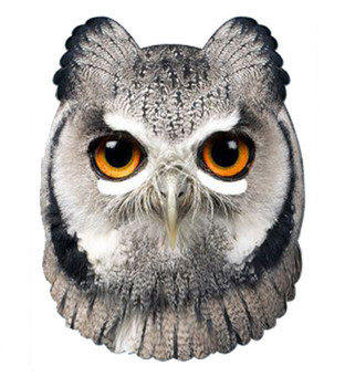 Owl Animal Card Party Face Mask Owl Animal Card Party Face Mask