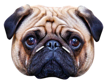 Pug Dog Single Card Party Face Mask Pug Dog Single Card Party Face Mask