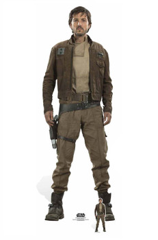 Captain Cassian Andor Cardboard Cutout Captain Cassian Andor Cardboard Cutout