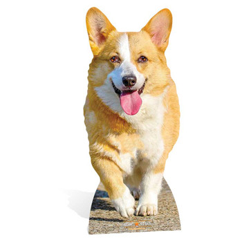 Corgi Mini Cardboard Cutout Corgi Mini Cardboard Cutout
