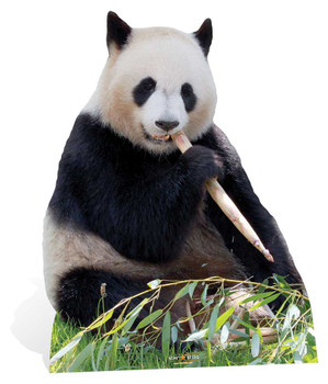 Giant Panda Cardboard Cutout Giant Panda Cardboard Cutout