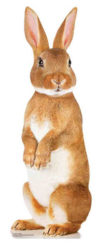 Cute Brown Rabbit Mini Cardboard Cutout / Standee / Stand Up Cute Brown Rabbit Mini Cardboard Cutout / Standee / Stand Up