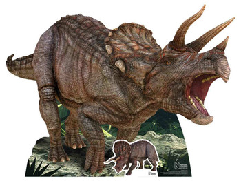 rooooooaar we offer lifesize cardboard cutouts of animals wild