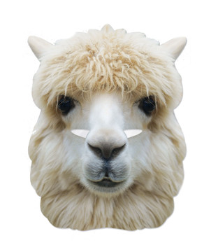 Alpaca Animal 2D Card Party Face Mask Alpaca Animal 2D Card Party Face Mask
