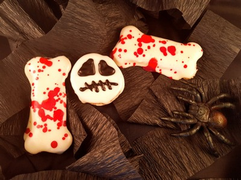 Should I Celebrate Halloween with my Dog and Halloween Dog Treats?
