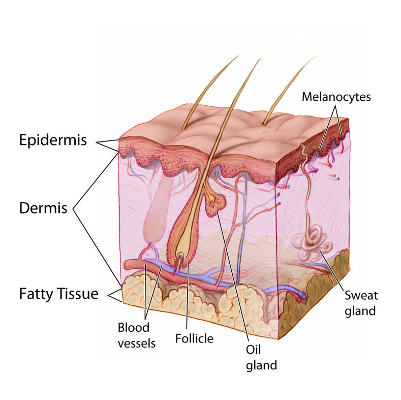 SKIN CONCERN: ACNE