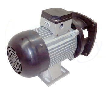SunRay SolFlo4 Solar Replacement Pump Motor (Only) Solar Pool Pump 115GPM 60FT Head 3.5HP 3000RPM 240VDC Brushless Motor Conversion SunRay SolFlo4 Solar Replacement Pump Motor (Only) Solar Pool Pump 115GPM 60FT Head 3.5HP 3000RPM 240VDC Brushless Motor Conversion