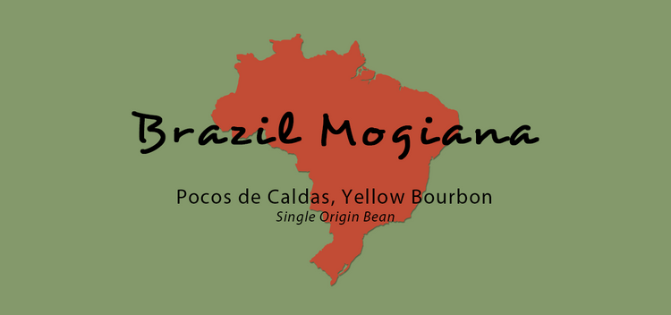 Brazil Mogiana