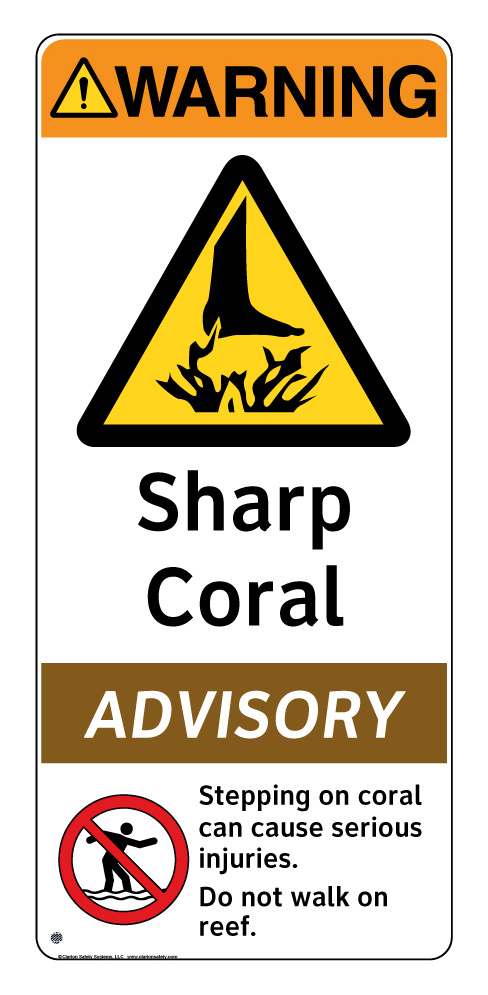Sharp Coral