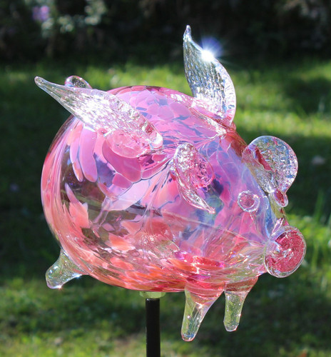 Flying Pig "Ms.Chuleta Can Can"
