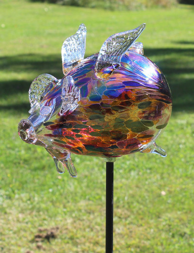 Flying Pig "Able"