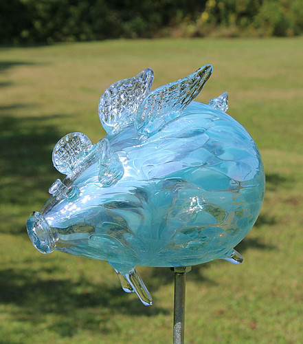 Flying Pig "Rain Ballerina"