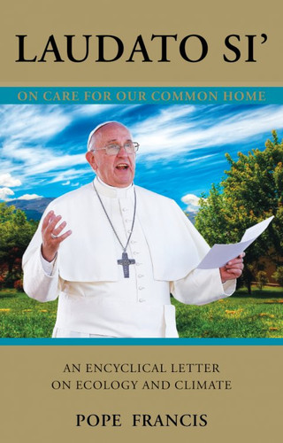 Laudato Si' (Praise Be to You): On Care For Our Common Home - Pope Francis (Paperback)