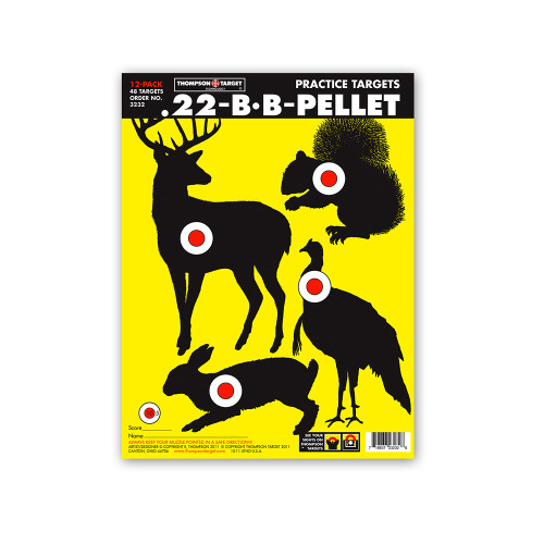 .22 - BB - Pellet Game Hunting Bright Paper 9"x12" Targets by Thompson .22 - BB - Pellet Game Hunting Bright Paper 9"x12" Targets by Thompson
