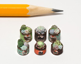 Quarter scale (1:48) succulents/hens and chicks in rusty cans. Quarter scale (1:48) succulents/hens and chicks in rusty cans.