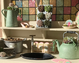1" scale succulents and accessories kit 1" scale succulents and accessories kit